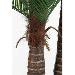 CYCAS PALMIER EN POT PLASTIQUE VERT H150 D100CM de Edelman - deco maison et noël dans E009