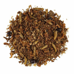 Patée insectivore aux miel et baies 600gr Cédé de Animalerie Libourne et Bordeaux - Gironde dans L043