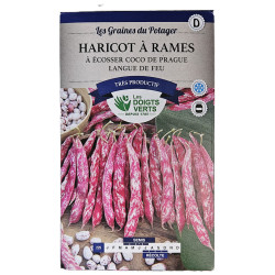 HARICOT RAMES COCO DE PRAGUE LANGUE DE FEU de Les Doigts Verts - graines de Gironde à Bordeaux dans L084