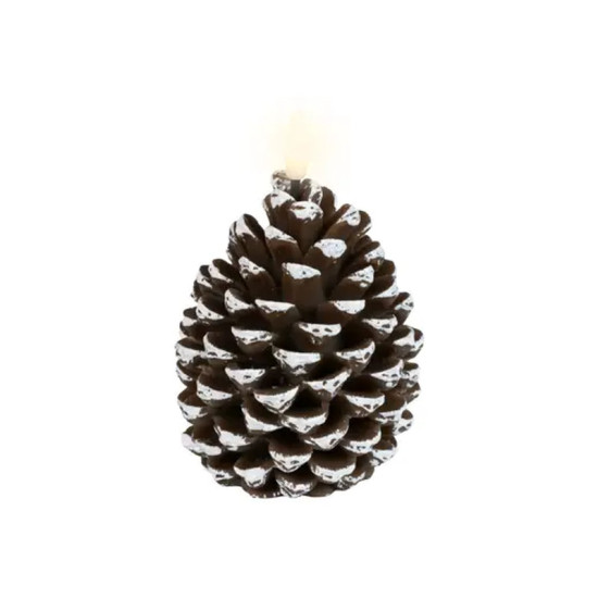 BOUGIE POMME PIN 1L MARRON/BLANC CHAUD de Déco de Noël - Jardinerie Bordeaux et Libourne dans K004