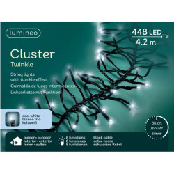GUIRLANDE GRAPPE NOIR/BLANC FROID 448L 4.20M de Déco de Noël - Jardinerie Bordeaux et Libourne dans K004