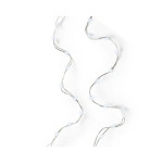GUIRLANDE DURAWISE 50L ARGENT/BLANC FROID 2.45M de Déco de Noël - Jardinerie Bordeaux et Libourne dans K004