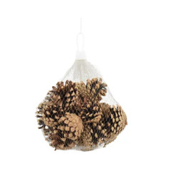 POMME DE PIN NATUREL 200G de Déco de Noël - Jardinerie Bordeaux et Libourne dans K004