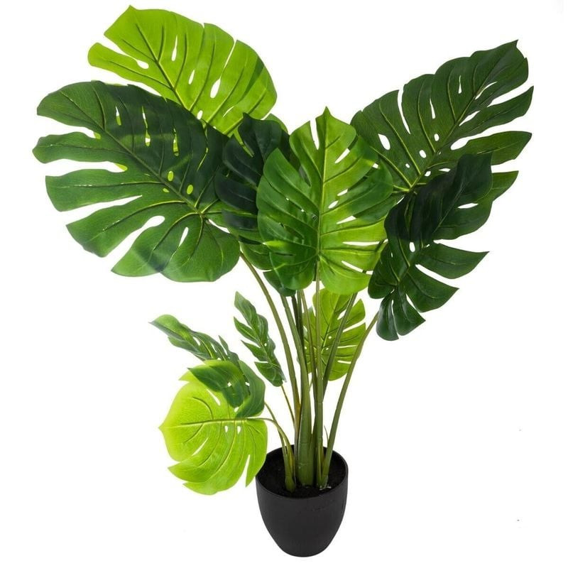 PHILO MONSTERA DELICIOSA H110CM de Décoration de la maison à Libourne dans J031