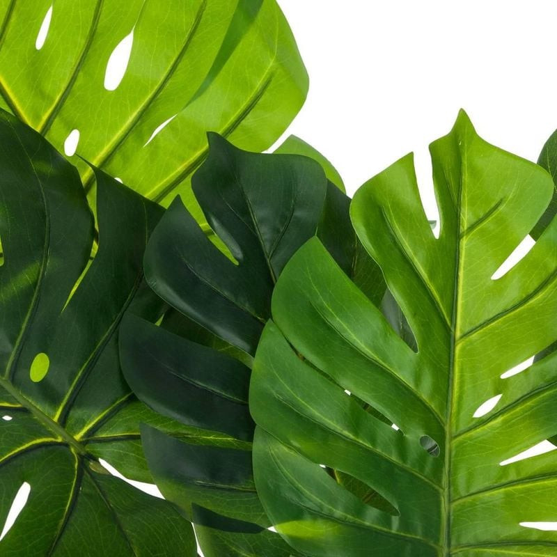 PHILO MONSTERA DELICIOSA H110CM de Décoration de la maison à Libourne dans J031