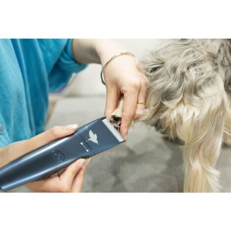 Tondeuse précisia pour chiens avec lame ajustable et silencieuse de Zolux - Produit pour animaux dans Z002