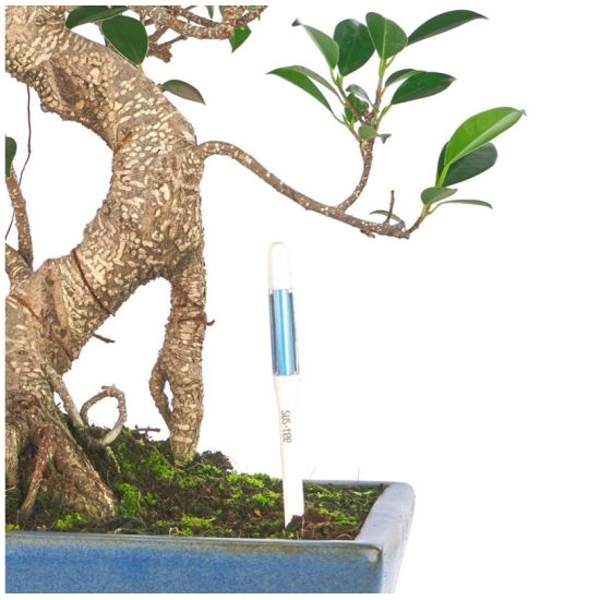 AQUAMETER - INDICATEUR D'ARROSAGE TAILLE S de Jardinerie Bordeaux Libourne Gironde dans M074