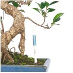AQUAMETER - INDICATEUR D'ARROSAGE TAILLE S de Jardinerie Bordeaux Libourne Gironde dans M074