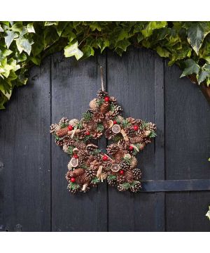 ETOILE WINTERSPICE 35CM de Smart garden dans S1541