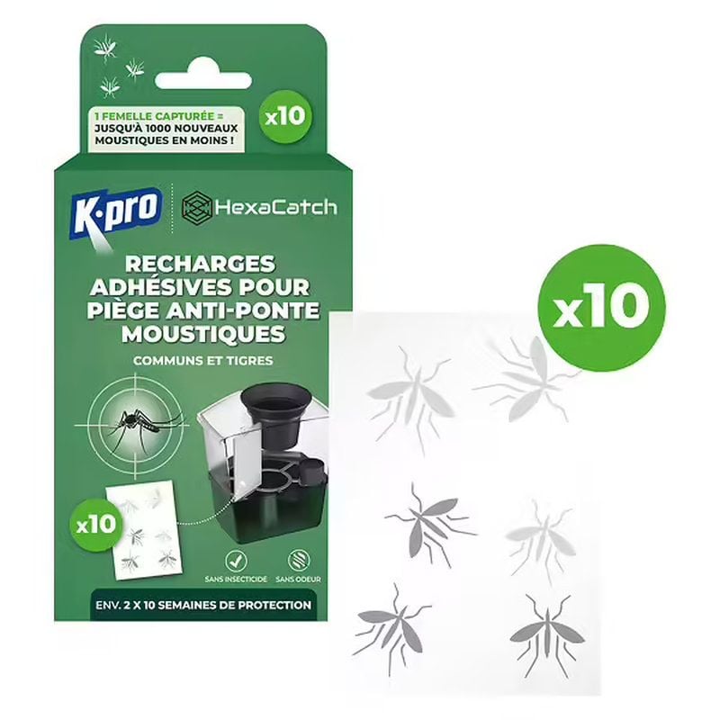 Recharge adhésives hexapiege piege moustiques pondoir x10 de Mosquito Magnet dans B093