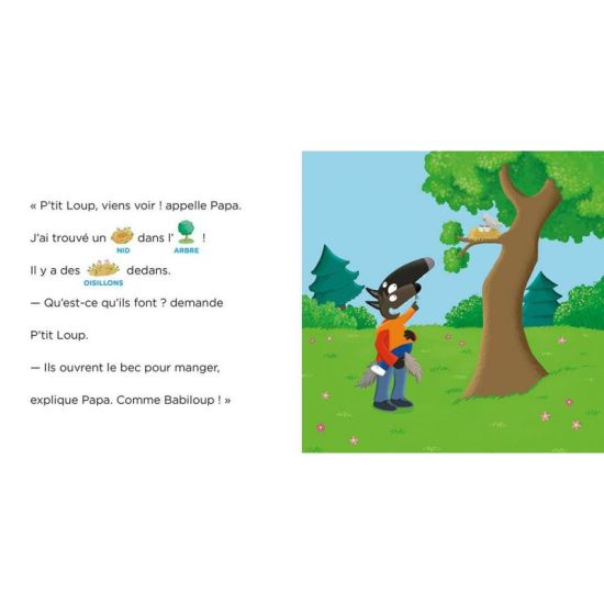 P'tit loup aime les bébés animaux - livre enfant interactif et éducatif de Jardinerie Bordeaux Libourne Gironde dans C022