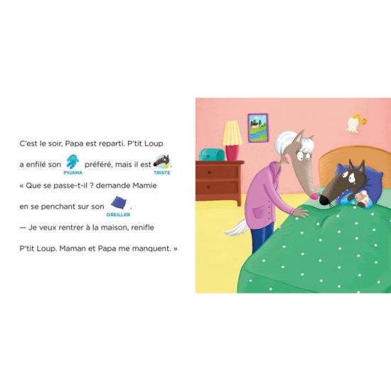 P'tit loup et les émotions : livre enfant pour comprendre et exprimer ses sentiments de Jardinerie Bordeaux Libourne Gironde ...