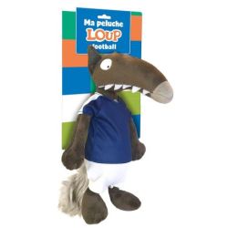 Livre Enfant : Les Aventures de Loup Footballeur de Jardinerie Bordeaux Libourne Gironde dans C022