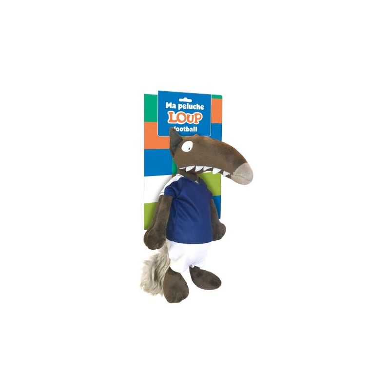 Livre Enfant : Les Aventures de Loup Footballeur de Jardinerie Bordeaux Libourne Gironde dans C022