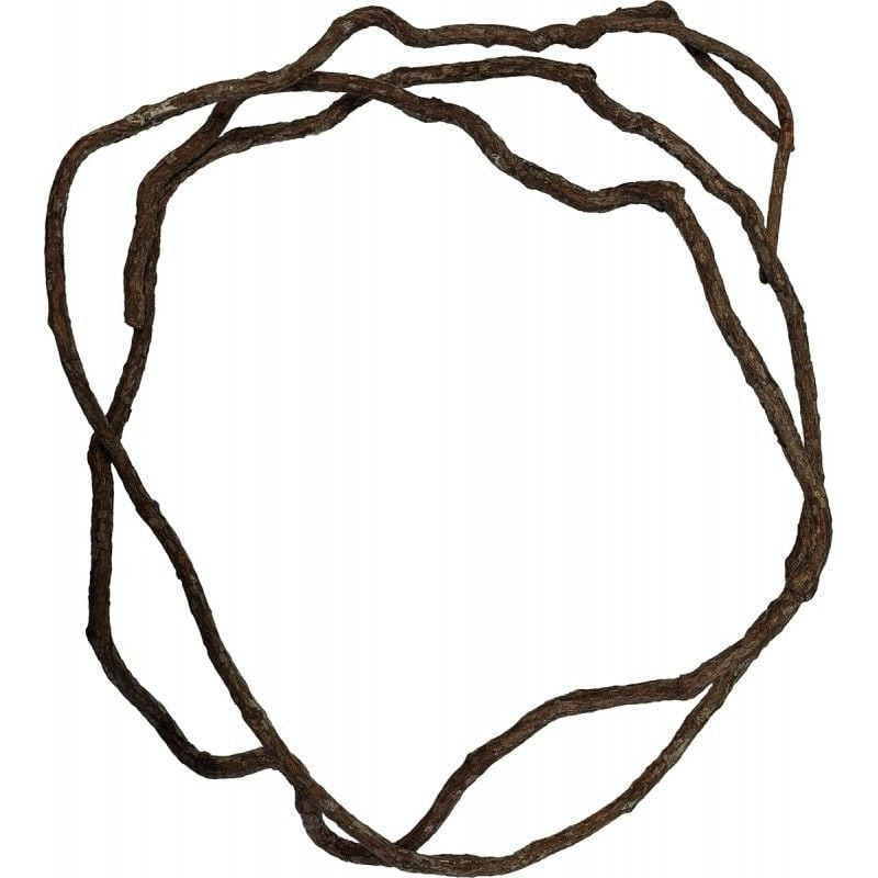 Repto tree vine 300cm, pour reptiles de Habistat, le matériel pour les reptiles dans A075