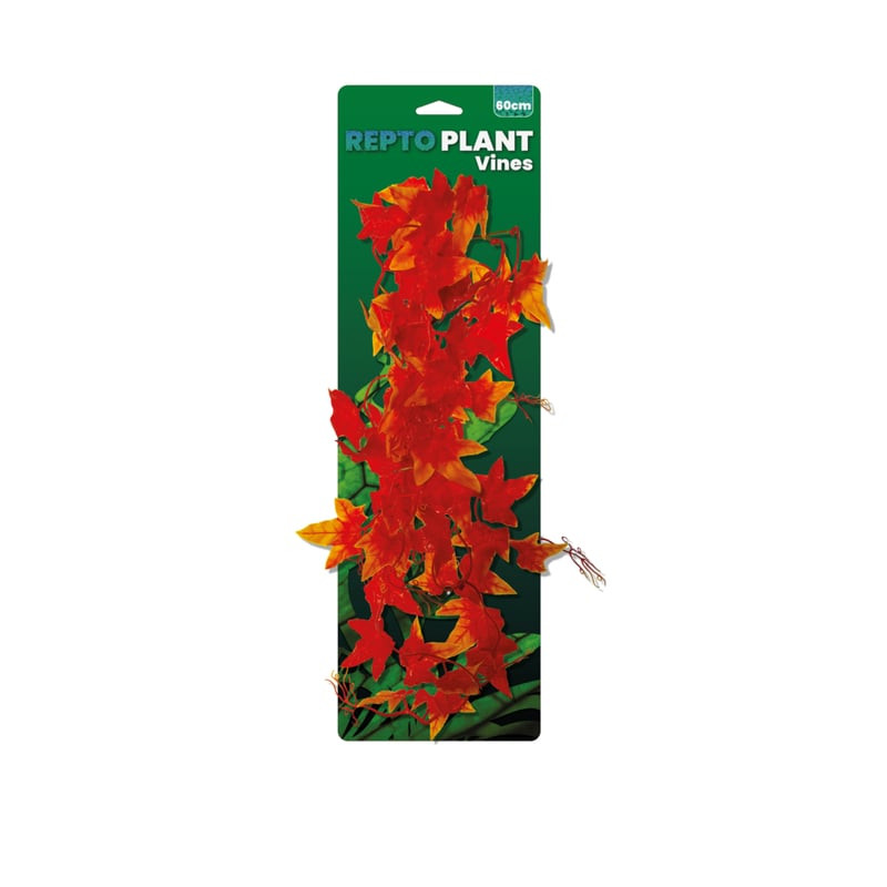 Plante artificielle vines orange hedera 60cm, pour reptiles de Habistat, le matériel pour les reptiles dans A075