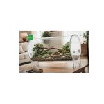 Terrarium clear cylindre 40x25x25cm, pour reptiles de Habistat, le matériel pour les reptiles dans A075