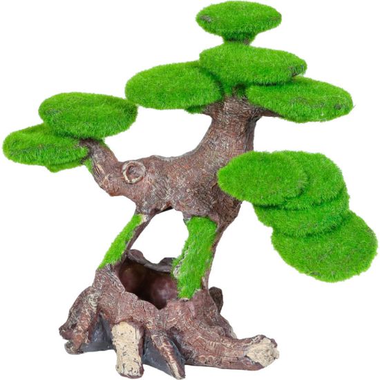 Arbre n2 zenatura pour aquarium de Zolux - Produit pour animaux dans Z002