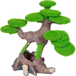 Arbre n2 zenatura pour aquarium de Zolux - Produit pour animaux dans Z002