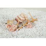 Rosy pierre et bois 2kg pour aquarium de Zolux - Produit pour animaux dans Z002