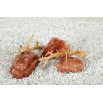 Red pierre et bois 2kg pour aquarium de Zolux - Produit pour animaux dans Z002