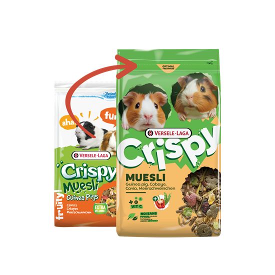Crispy Muesli - Cobaye 20kg, Versele de Versele Laga - Alimentation pour animaux dans V019