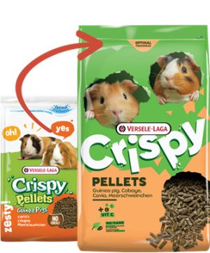 Crispy Pellets - Cobaye 2kg, Versele de Versele Laga - Alimentation pour animaux dans V019