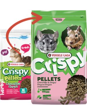 Crispy Pellets - Chinchilla et Dègue 1kg, Versele de Versele Laga - Alimentation pour animaux dans V019