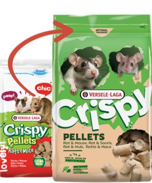 Crispy Pellets - Rat et Souris 1kg, Versele de Versele Laga - Alimentation pour animaux dans V019