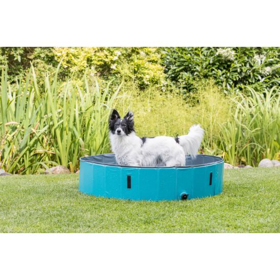 Piscine pour chien,80 x 20 cm, petrole/gris de Trixie - Produit pour animaux dans T050
