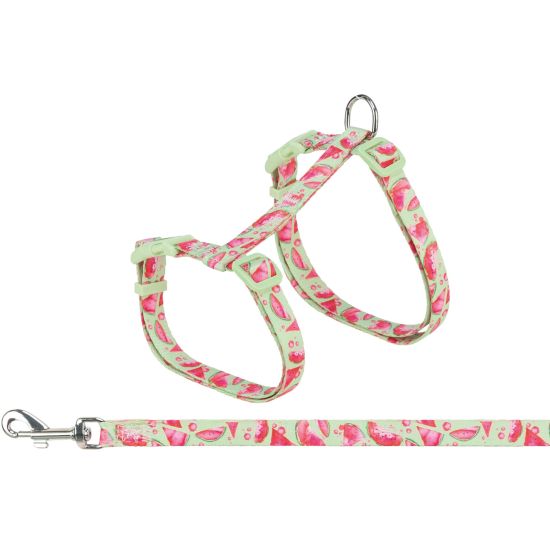 Harnais XXL pour chat avec laisse flower power 35-59 cm 1,20 m accessoire confort de Trixie - Produit pour animaux dans T050