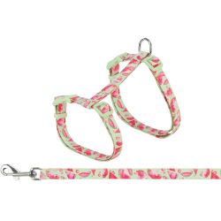 Harnais XXL pour chat avec laisse flower power 35-59 cm 1,20 m accessoire confort de Trixie - Produit pour animaux dans T050