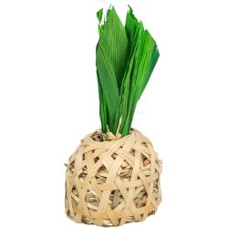 Ananas bambou avec feuilles de maïs pour rongeurs 6,5 cm de Trixie - Produit pour animaux dans T050