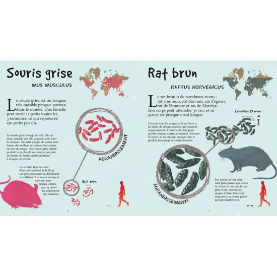 LES CROTTES DES ANIMAUX GRANDEUR NATURE de Jardinerie Bordeaux Libourne Gironde dans C022
