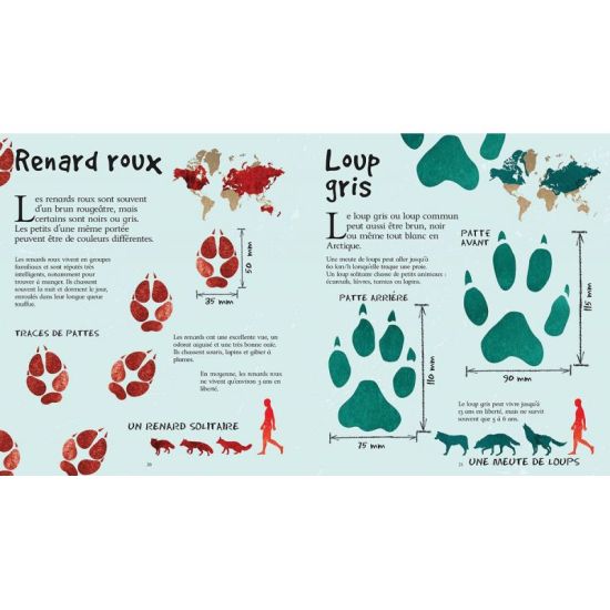LES TRACES DES ANIMAUX GRANDEUR NATURE de Jardinerie Bordeaux Libourne Gironde dans C022