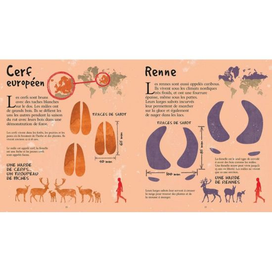 LES TRACES DES ANIMAUX GRANDEUR NATURE de Jardinerie Bordeaux Libourne Gironde dans C022