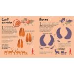 LES TRACES DES ANIMAUX GRANDEUR NATURE de Jardinerie Bordeaux Libourne Gironde dans C022