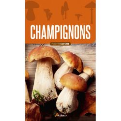 CHAMPIGNONS de Jardinerie Bordeaux Libourne Gironde dans C022