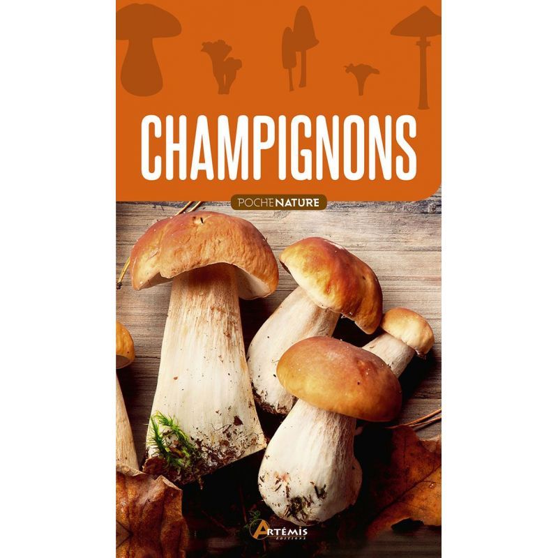 CHAMPIGNONS de Jardinerie Bordeaux Libourne Gironde dans C022