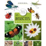 LES INSECTES de Jardinerie Bordeaux Libourne Gironde dans C022