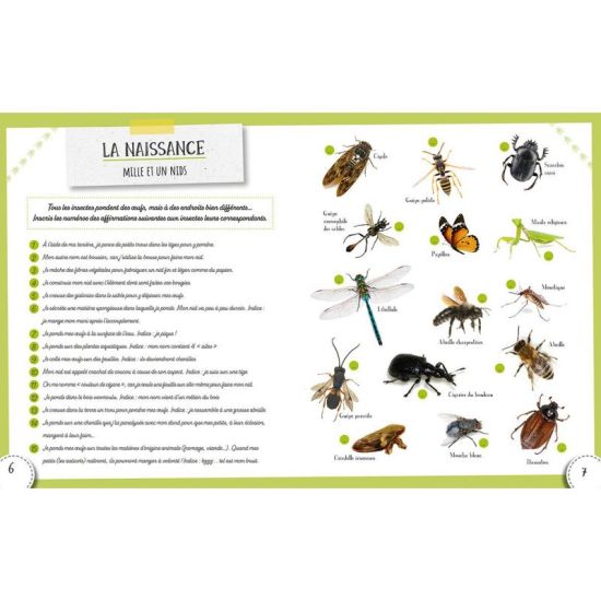 LES INSECTES de Jardinerie Bordeaux Libourne Gironde dans C022