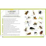 LES INSECTES de Jardinerie Bordeaux Libourne Gironde dans C022