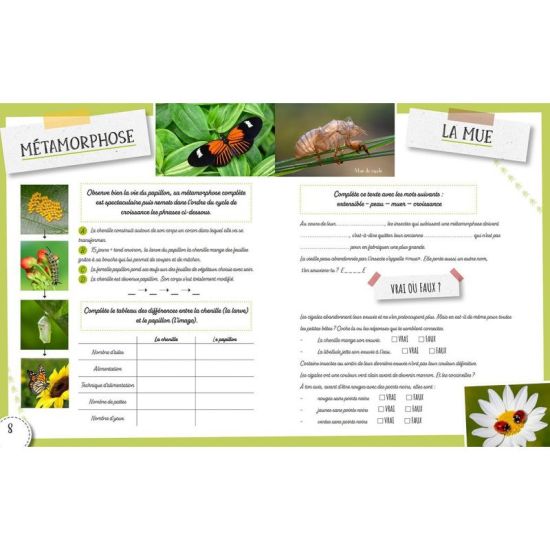LES INSECTES de Jardinerie Bordeaux Libourne Gironde dans C022
