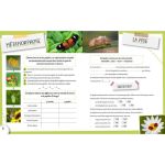 LES INSECTES de Jardinerie Bordeaux Libourne Gironde dans C022