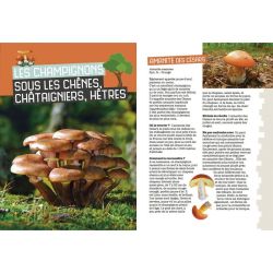 MES PREMIERES CUEILLETTES DE CHAMPIGNONS de Jardinerie Bordeaux Libourne Gironde dans C022
