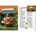 MES PREMIERES CUEILLETTES DE CHAMPIGNONS de Jardinerie Bordeaux Libourne Gironde dans C022