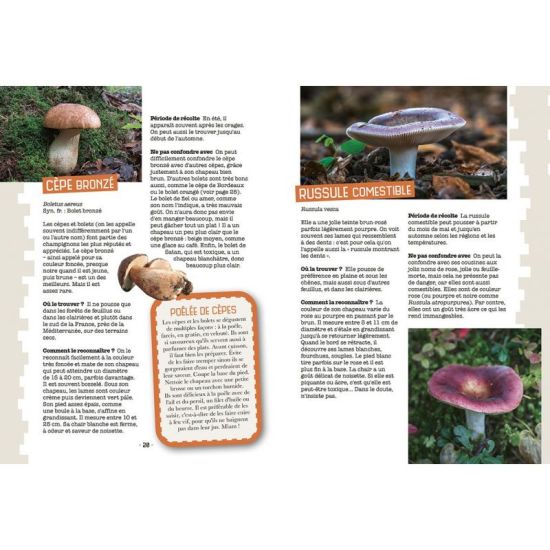 MES PREMIERES CUEILLETTES DE CHAMPIGNONS de Jardinerie Bordeaux Libourne Gironde dans C022