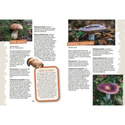 MES PREMIERES CUEILLETTES DE CHAMPIGNONS de Jardinerie Bordeaux Libourne Gironde dans C022