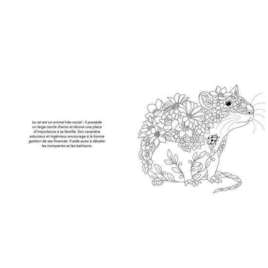 ANIMAUX TOTEMS de Jardinerie Bordeaux Libourne Gironde dans C022