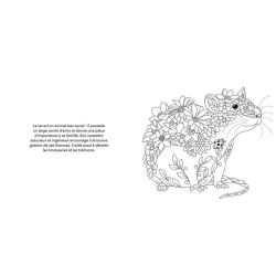 ANIMAUX TOTEMS de Jardinerie Bordeaux Libourne Gironde dans C022